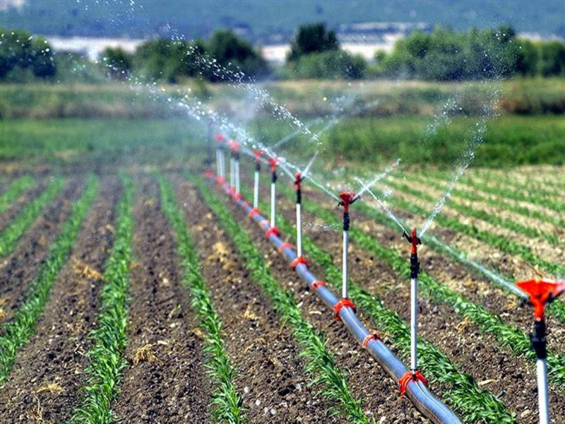 Akıllı Tarımda Sulamanın Faydaları ve Zararları - 36